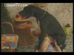 A nasty trollop is seen in the Beast movie clip being raped by her large K9 in a variety of postures.